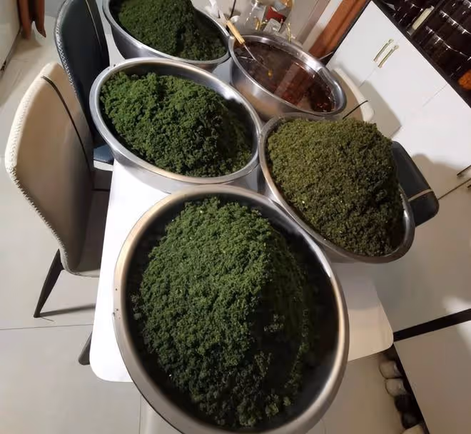 雲南丈母娘寄來的特產,重慶女婿直接扔了,網友:換我也不敢吃