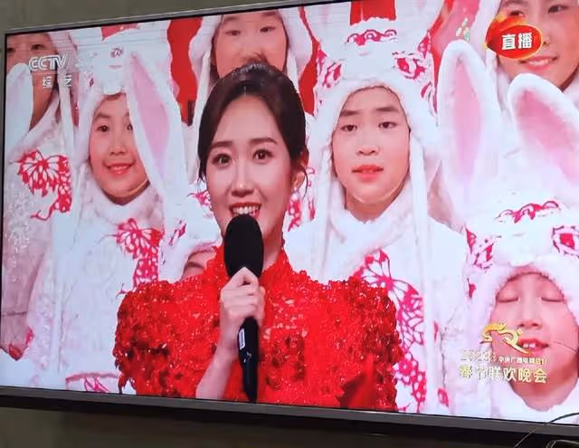 央視春晚名場面：秦嵐坐在觀眾席好美，鄧超又嗨了，楊紫站C位
