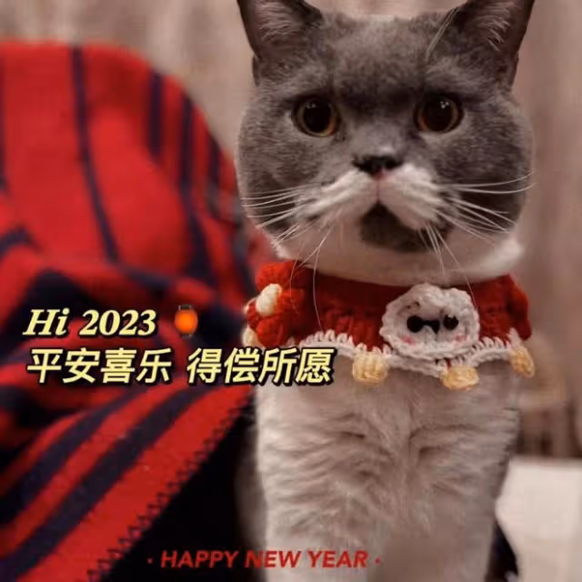 王寶強前妻馬蓉罕見更動態，曬年夜飯過春節，離婚分錢後生活愜意