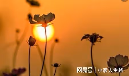 其實,希望你好的人很少