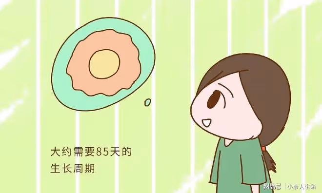 為什麼夫妻備孕要提前3個月,而不是別的時間呢?原因很重要