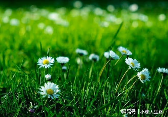 福薄之人不是命不好,而是身上有問題不自知,稍加註意即可