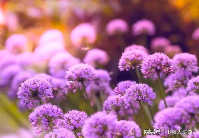 福薄之人不是命不好,而是身上有問題不自知,稍加註意即可