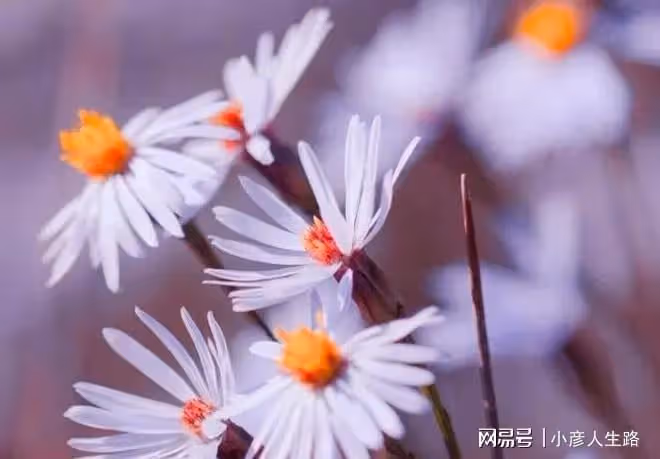 福薄之人不是命不好,而是身上有問題不自知,稍加註意即可