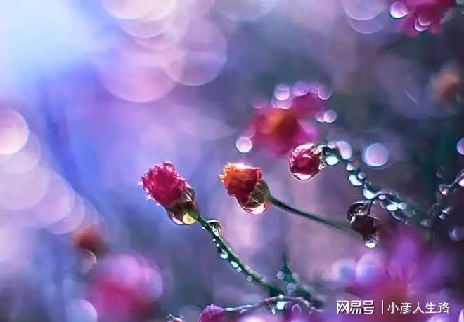 福薄之人不是命不好,而是身上有問題不自知,稍加註意即可