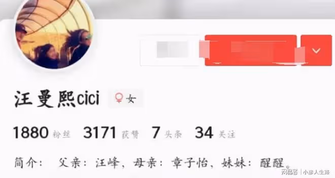 葛薈婕的人生路:17歲為汪峰懷孕生女,孩子簡介卻稱章子怡為母親