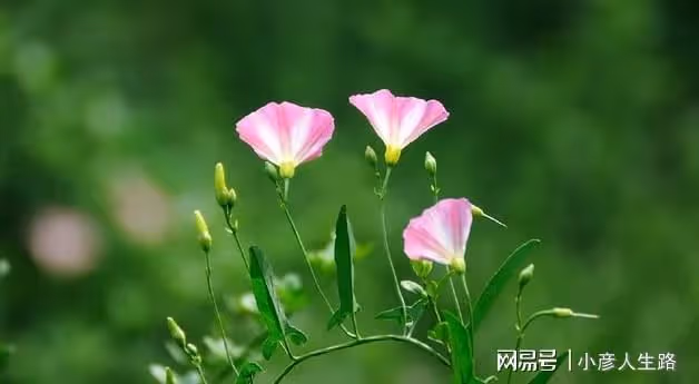 退休之後,高情商的老人,是敢於「說醜話」的人