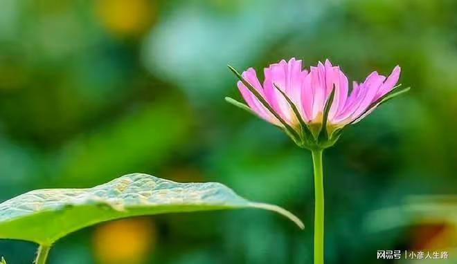 退休之後,高情商的老人,是敢於「說醜話」的人