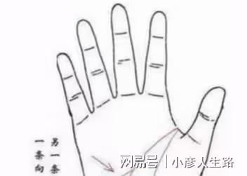 這些手相的人通常天生髮大財,有元寶紋與三角紋的富貴層次更高!