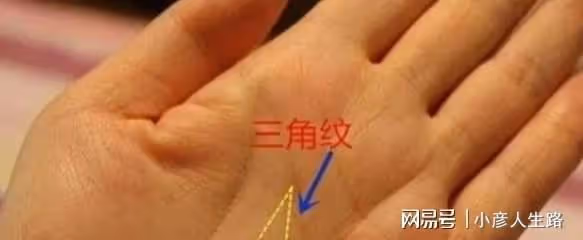這些手相的人通常天生髮大財,有元寶紋與三角紋的富貴層次更高!