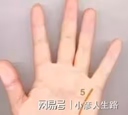 這些手相的人通常天生髮大財，有元寶紋與三角紋的富貴層次更高！