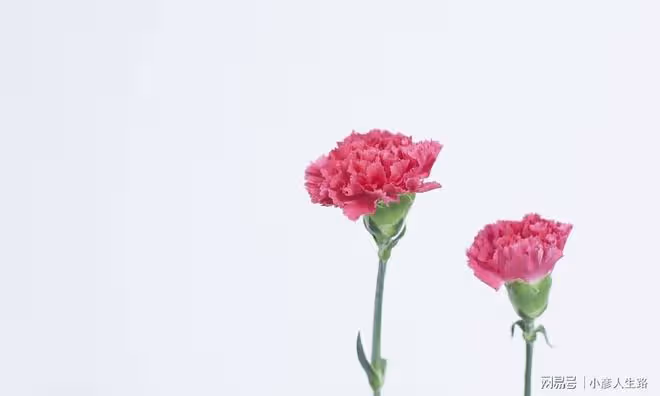聰明人的活法:簡單著,快樂著