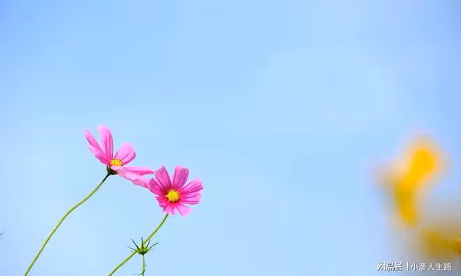 聰明人的活法:簡單著,快樂著