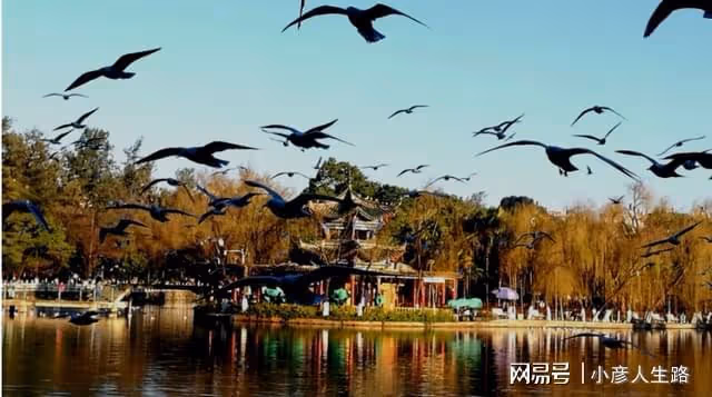 該城市為何能評為「養老第一名」?景美,消費低,生活資源也豐富