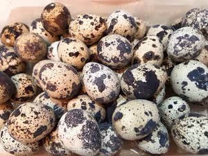 快手滷味拼盤🥘🍗🥚