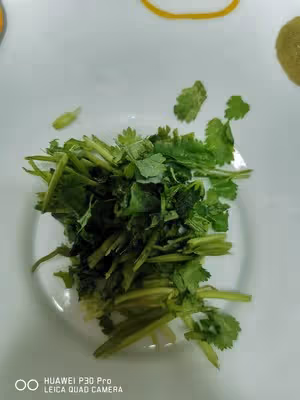 減脂餐之涼拌豬肚絲