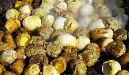 第一次去東北阿姨家,看到他們做的東北菜,我實在沒有勇氣動筷子