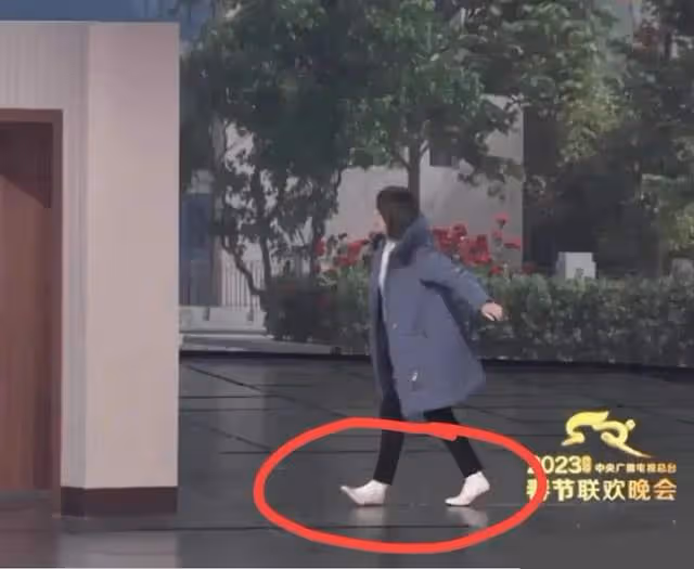 沈騰馬麗春晚臨場突發3個意外觀眾沒看出來：馬麗掉鞋跟沈騰掉麥