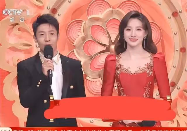 春晚觀眾席名場面:徐志勝身後小哥搶鏡,撒貝寧偷偷穿高跟鞋