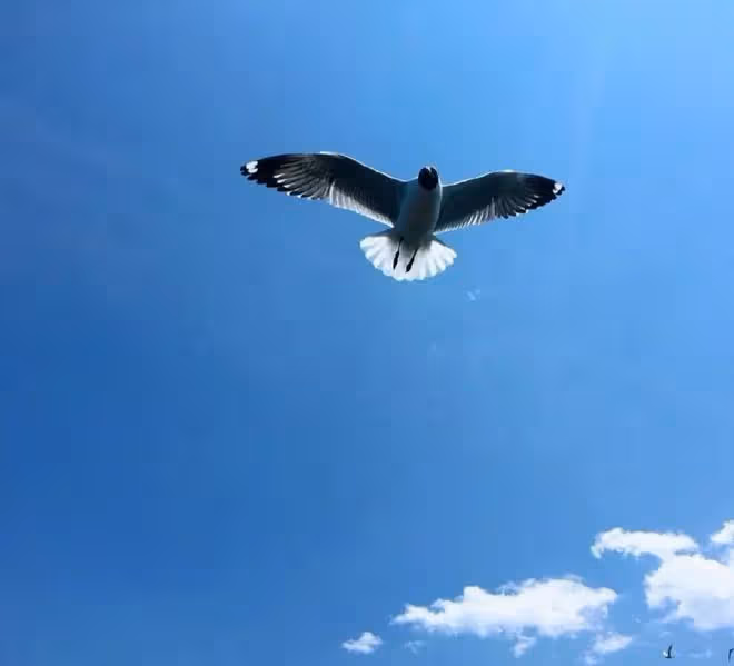 麗江+大理旅遊全攻略