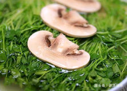 精選美食:豆苗蘑菇湯,豆苗丸子湯,辣椒炒肚絲,香菜炒牛肉做法