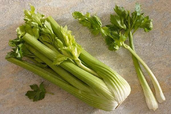 芹菜可是寶,養生離不了,只吃莖稈不吃「葉」,營養全跑了!