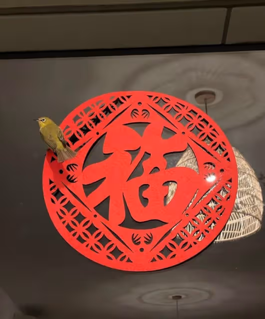 屢傳婚變!41歲TVB最索人妻曬年夜飯,老公時隔一年返港未見身影