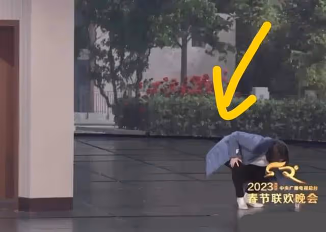 沈騰把馬麗羽絨服拍爆了?春晚《坑》挖下的4個坑,沈騰道歉化解
