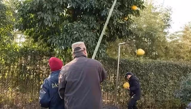 為何說不能對兄弟姐妹太好？68歲大爺直言：我活了大半輩子才明白