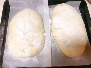 居家必備，保姆級零基礎，小白上手，免揉面機，手揉歐包，歐洲麵包家常做法步驟教程