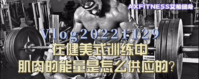 在健美式訓練中,肌肉的能量是怎麼供應的?