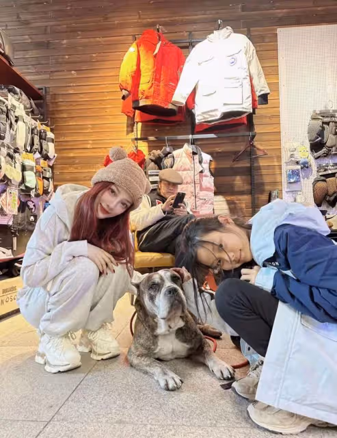 甜馨小號曝光!歐式大雙瓜子臉顏值驚人,曬一家三口似盼父母團圓