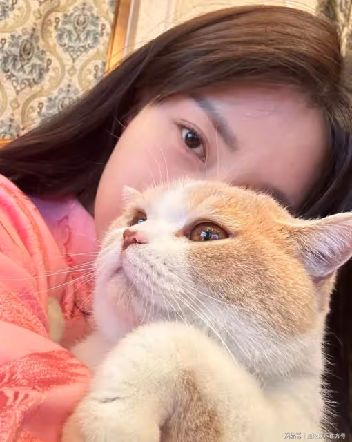 沈夢辰曬與杜海濤合照，夫妻倆穿唐裝甜蜜貼臉，母女同框似姐妹