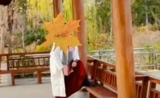 一組照片看素養