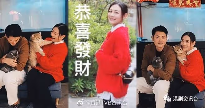 陳山聰盼再添丁追女!江美儀寧吸金感情隨緣