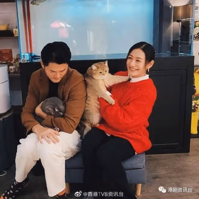陳山聰盼再添丁追女!江美儀寧吸金感情隨緣