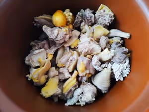 補氣養血的鮑魚土雞湯