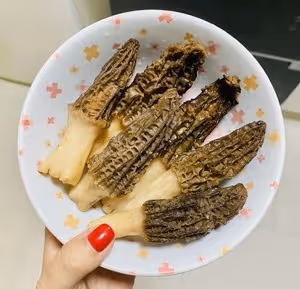 新手0失敗的羊肚菌雞湯！！超濃郁鮮掉眉毛的那種！！