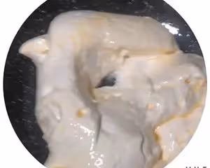 芝麻核桃牛軋糖