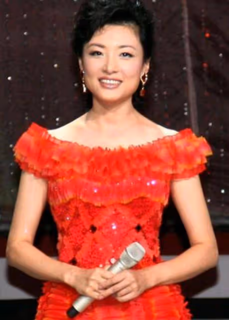 春晚女主持需要什麼樣的臉?網友:不要錐子扎人,要國泰民安醉人