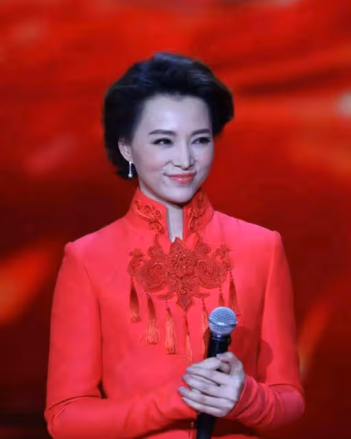 春晚女主持需要什麼樣的臉?網友:不要錐子扎人,要國泰民安醉人