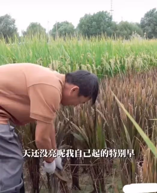 明星回村過年後：王寶強被鄉親包圍合影，何廣智被拉橫幅夾道歡迎