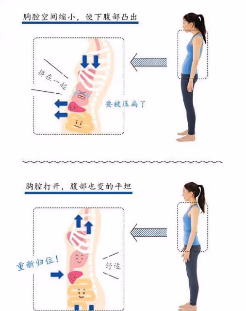 小腹凸不是因為胖?10秒動作,讓肚子瘦下來