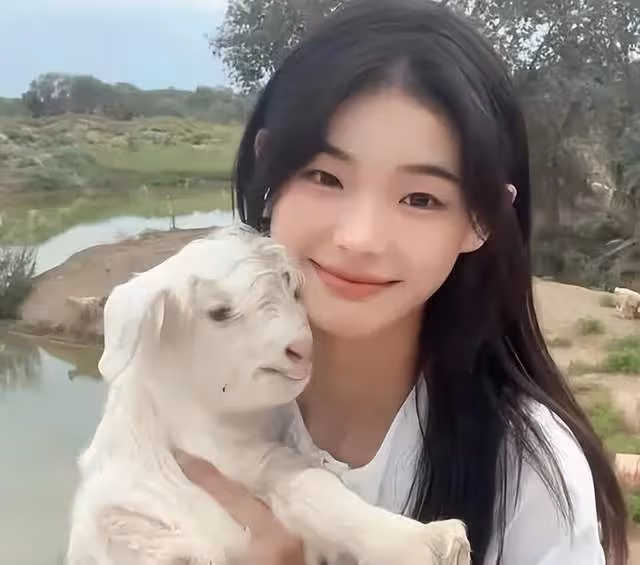 21歲女網紅欺騙萬千網友?「噶羊少女」的婚變風波,只是一場炒作