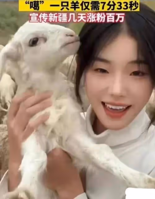 21歲女網紅欺騙萬千網友?「噶羊少女」的婚變風波,只是一場炒作