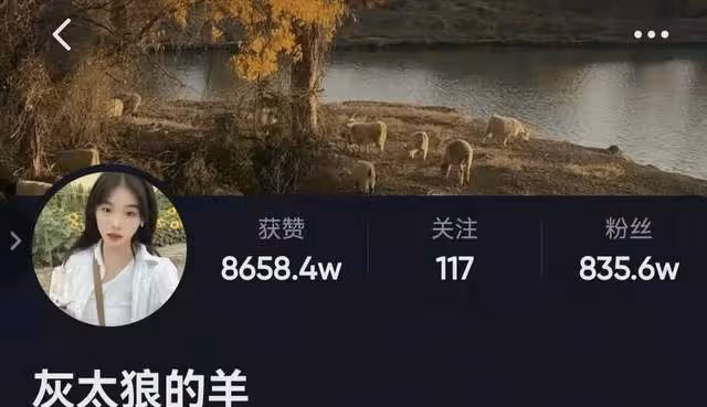 21歲女網紅欺騙萬千網友?「噶羊少女」的婚變風波,只是一場炒作