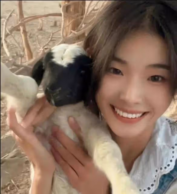 21歲女網紅欺騙萬千網友？「噶羊少女」的婚變風波，只是一場炒作