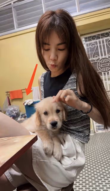 Ella回馬來西亞過春節,公公婆婆家曝光,客廳四面白牆裝修普通