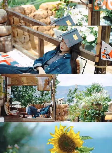 《去有風的地方》只要你願意自渡,命運都會帶你去一個不錯的地方