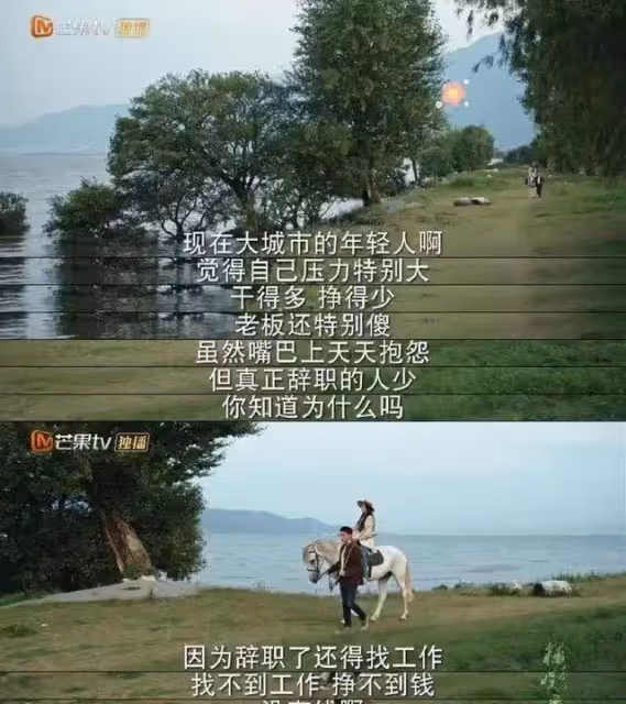 《去有風的地方》只要你願意自渡，命運都會帶你去一個不錯的地方